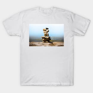 mind cleanse T-Shirt